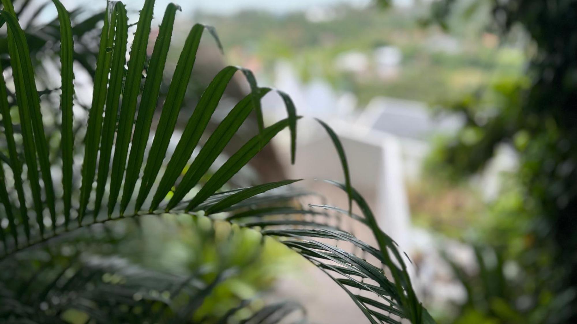 Amphoe Koksamui Anzhu Seamate Villa Samui מראה חיצוני תמונה